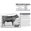 Image 1 : CLEAR CREEK HYALITE 656