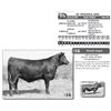 Image 1 : FF WINONA D95