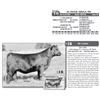 Image 1 : JC DIXIE ERICA 9D