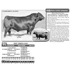 OCC ERICA 544