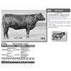 Image 1 : RICH RUBY 0525