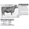 Image 1 : VERMILION BARBARA 5058
