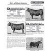 Image 1 : Pick of Flush Sisters