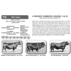 4 FROZEN EMBRYOS (GRADE 1 & 2)