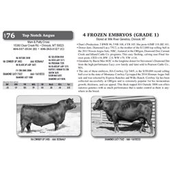 4 FROZEN EMBRYOS (GRADE 1)