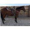 Image 1 : Peppys Little Dual