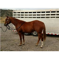 Smart Shiner Two Dee