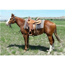 Colonels Fancy Clark