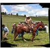 Image 1 : Paddys Dixie Bubba