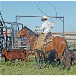 JS Peptos Red Cowboy