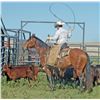 Image 1 : JS Peptos Red Cowboy