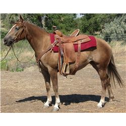 Bird On A Shiney Bud