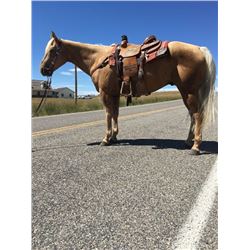 Stings Golden Dun It