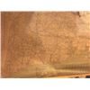 Image 10 : 2 Large Antique Maps