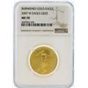 Image 1 : 2007-W NGC MS70 $25 Burnished American Eagle Gold Coin