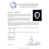 Image 5 : 14KT White Gold GIA Certified 27.66 ctw Tanzanite and Diamond Ring