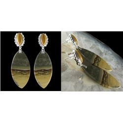 Natural Stone Diamond Polished Earings