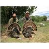 Image 3 : RIO GRANDE TURKEY HUNT