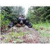Image 10 : 6 DAY BLACK BEAR HUNT IN THE CARIBOO