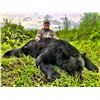Image 12 : 6 DAY BLACK BEAR HUNT IN THE CARIBOO