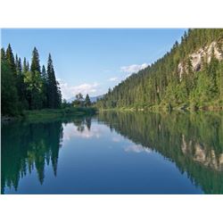 6 DAY BLACK BEAR HUNT IN THE CARIBOO