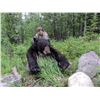 Image 9 : 6 DAY BLACK BEAR HUNT IN THE CARIBOO