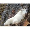 Image 2 : MOUNTAIN GOAT HUNT IN THE SKEENA
