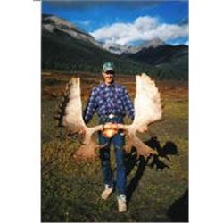 10-DAY 1 ON 1 MOOSE HUNT IN THE PEACE REGION