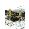 Image 4 : 10-DAY 1 ON 1 MOOSE HUNT IN THE PEACE REGION