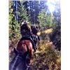 Image 7 : 3 DAY / 4 NIGHT HORSEBACK RIDING TRIP  FOR 4 GUESTS