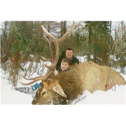 ROCKY MOUNTAIN (EITHER SEX) ELK HUNT