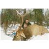 Image 1 : ROCKY MOUNTAIN (EITHER SEX) ELK HUNT