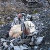 Image 2 : 7-DAY BACKPACK MOUNTAIN GOAT HUNT