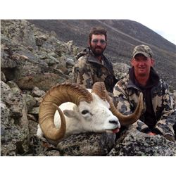 10 DAY 1 ON 1 YUKON DALL SHEEP HUNT