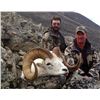 Image 1 : 10 DAY 1 ON 1 YUKON DALL SHEEP HUNT