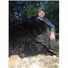 Image 1 : 7 DAY SPRING COASTAL BLACK BEAR HUNT