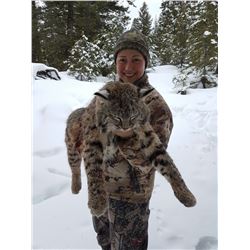7 DAY 1 ON 1 LYNX HUNT WITH HOUNDS  IN THE OKANAGAN
