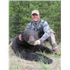 Image 3 : 7 DAY FALL MULE DEER & BLACK BEAR COMBO HUNT