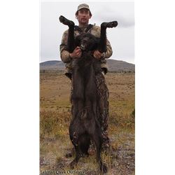 10-DAY WOLF HUNT IN THE CHILCOTIN