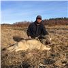 Image 7 : 10-DAY WOLF HUNT IN THE CHILCOTIN