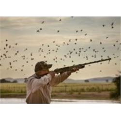 3-DAY ARGENTINIAN DOVE HUNT FOR 2 HUNTERS
