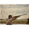 Image 1 : 3-DAY ARGENTINIAN DOVE HUNT FOR 2 HUNTERS
