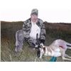 Image 1 : PRONGHORN ANTELOPE & PRAIRIE DOG HUNT