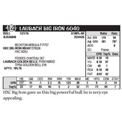 LAUBACH BIG IRON 6040