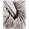 Image 1 : JOHN HAVINDEN (British, 1908-1987) STRAWS signed in pencil in image on recto various inscriptions...