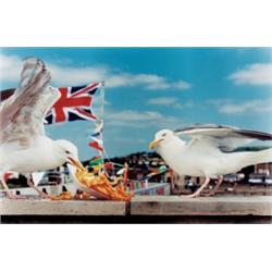 MARTIN PARR (British, b. 1952) WEST BAY (1996) ASCOT (1999) each print signed, titled, dated and ...