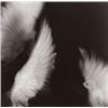 Image 1 : YUKI ONODERA (Japanese, b. 1962) OISEAU (NOS. 5, 6 & 12) each signed, titled, dated and editioned...