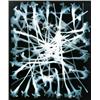 Image 1 : KUNI… SUGIURA (Japanese, b. 1942) STACKS IRISES B6 (NEGATIVE AND POSITIVE) 2 toned gelatin silver...