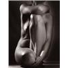 Image 1 : RUTH BERNHARD (American, b. Germany, 1905) CLASSIC TORSO signed “Ruth Bernhard” in pencil below i...