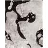 Image 1 : ARTHUR SIEGEL (American, 1913-1978) EIGHT ABSTRACT COMPOSITIONS various inscriptions in pencil on...